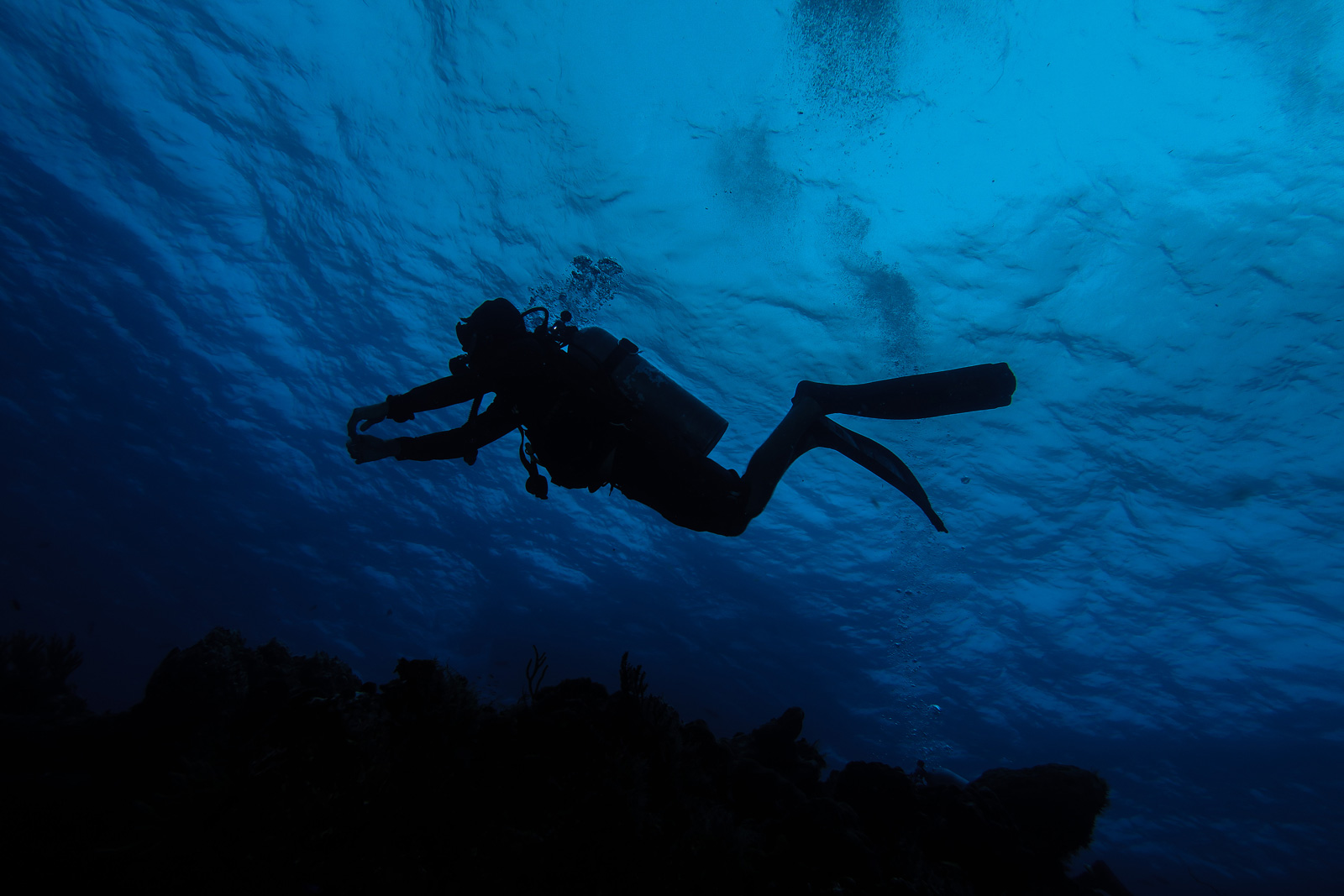 Cozumel Certified Diving - Scuba Life Cozumel 