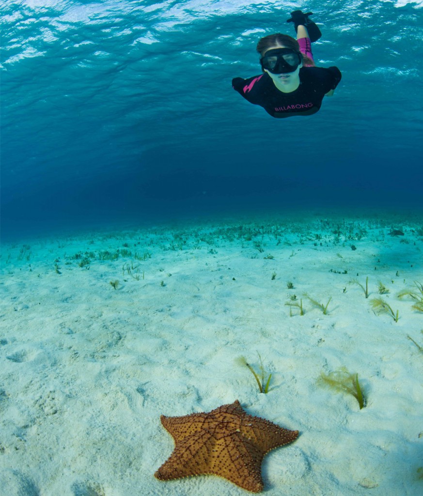 Cozumel Snorkeling - Scuba Life Cozumel | Cozumel Scuba Diving & Snorkeling