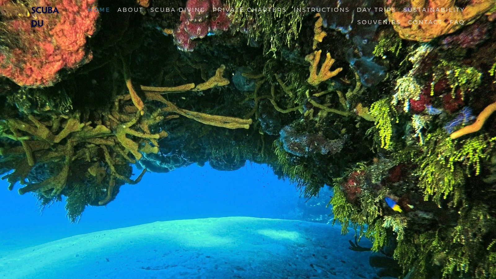 Scuba Du (on-site at Presidente InterContinental)