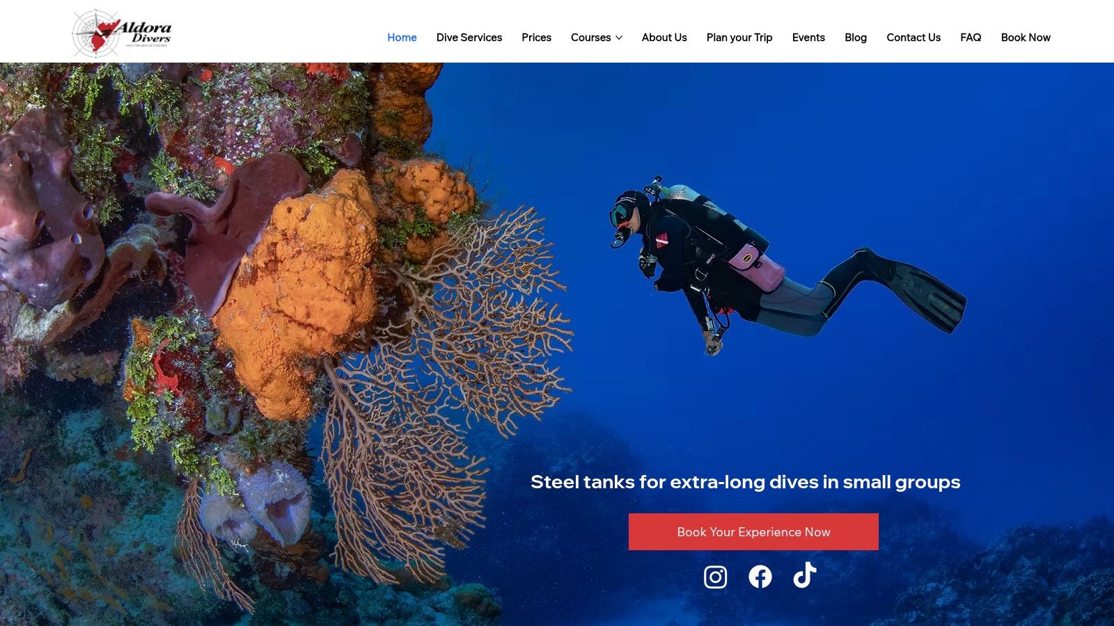 Aldora Divers