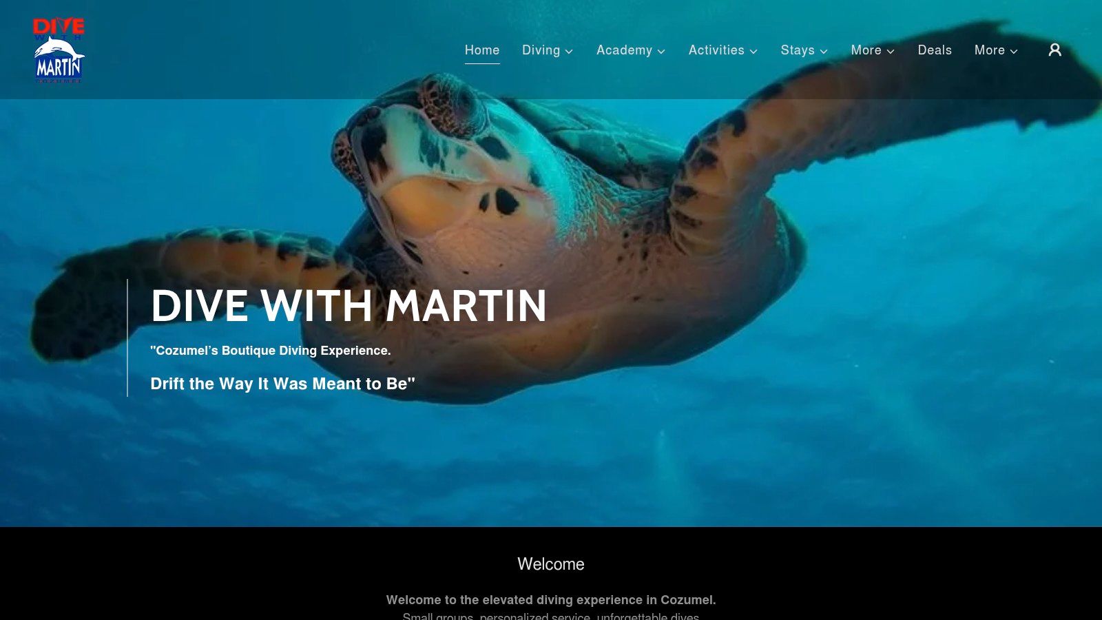 Dive With Martin