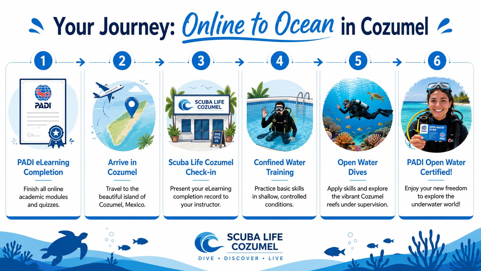 A six-step infographic showing the PADI scuba diving certification journey from online learning to ocean exploration.