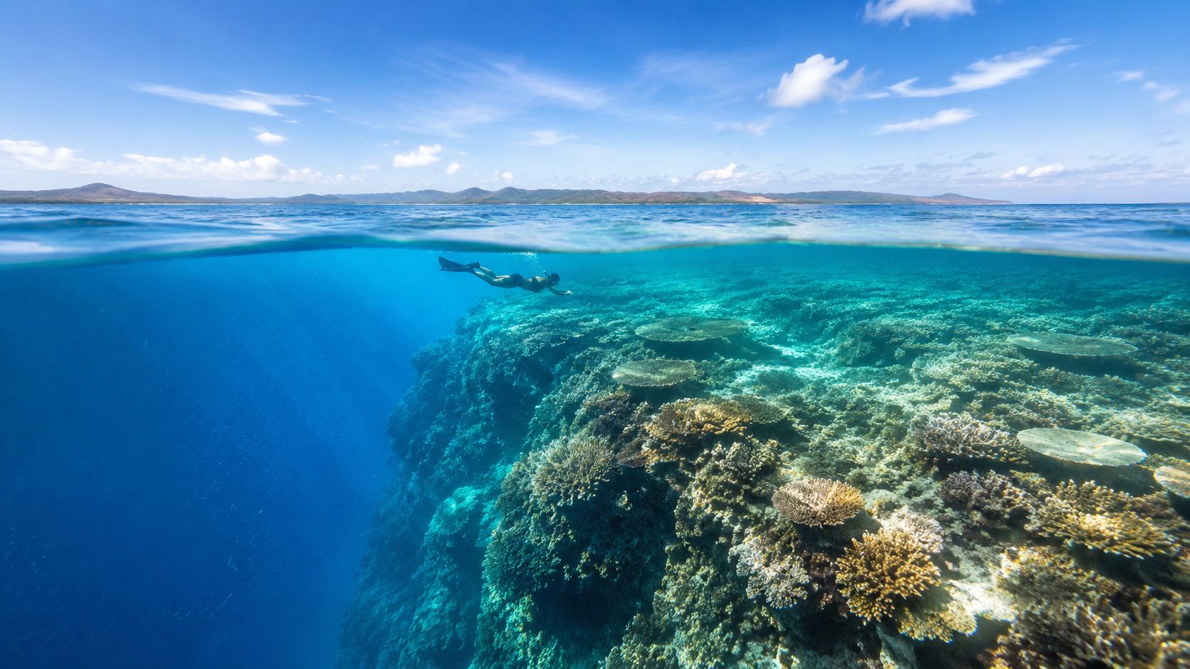 A snorkeler swims near a coral reef drop-off in clear, tropical blue ocean waters.