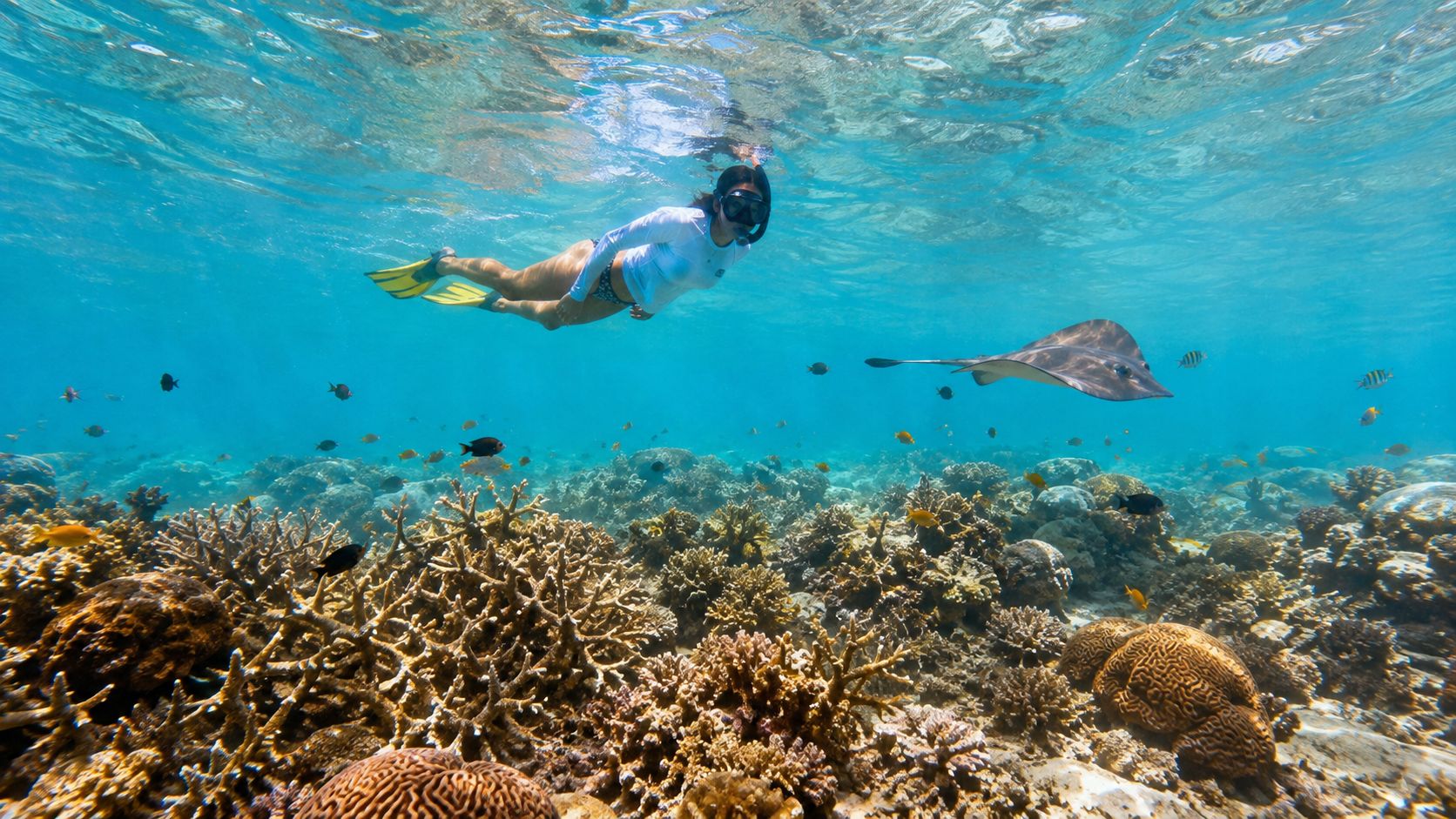 A snorkeler swims near a stingray over a colorful coral reef in clear blue tropical waters.