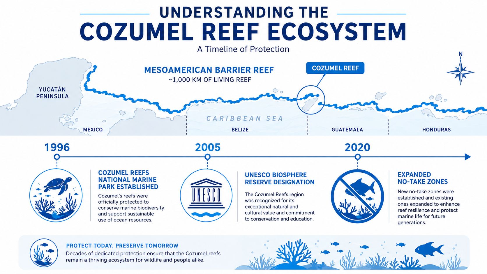 A timeline graphic showing conservation milestones for the Cozumel Reef ecosystem in the Caribbean Sea.