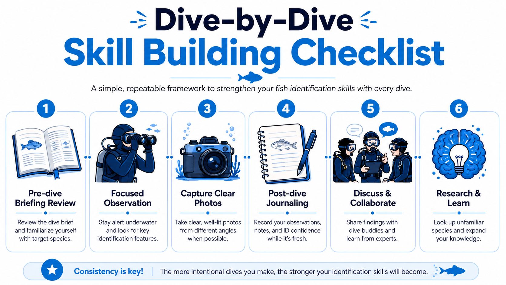 A six-step checklist for scuba divers to improve their fish identification skills through structured observation and review.