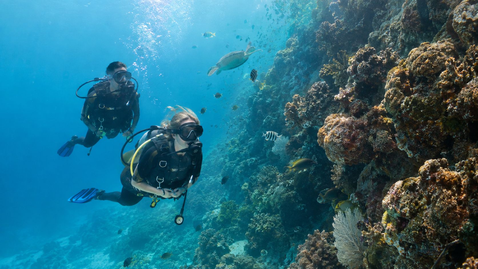 Two scuba divers exploring a colorful tropical coral reef with a sea turtle swimming nearby in Cozumel.